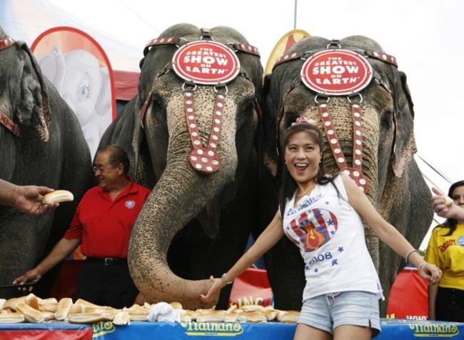 CORRECTION Cross Species Eating Competition