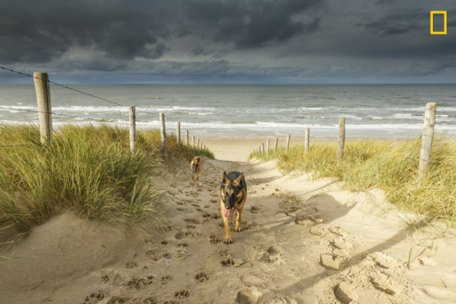 04-noordwijk-beach-netherlands