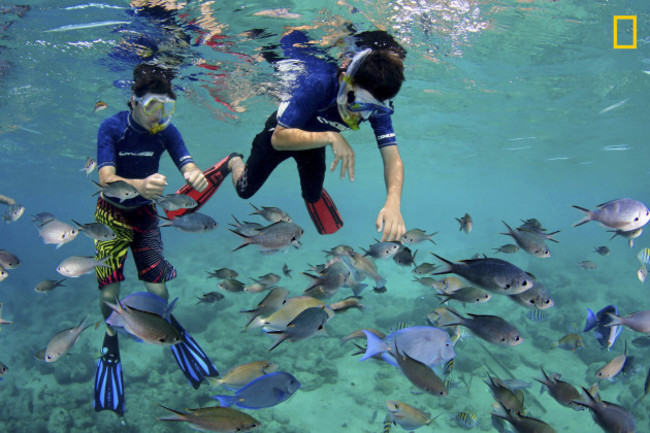 06-cas-abao-beach-curacao (1)