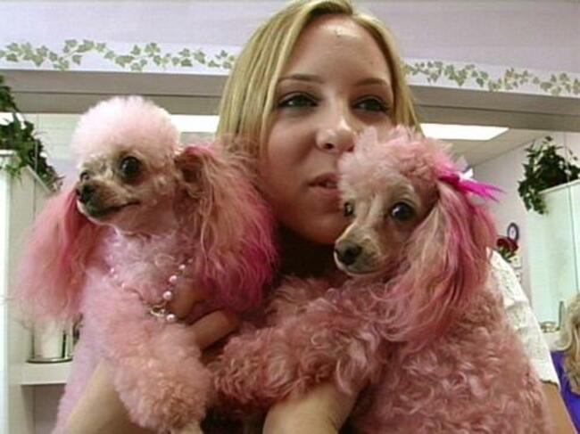 marissa-super-sweet-16-pink-poodles__width_580