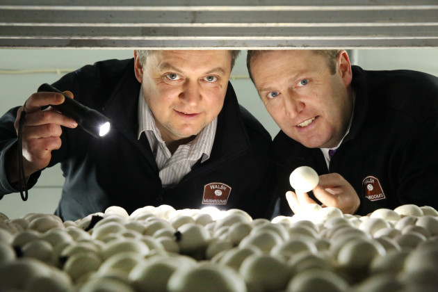 Vitali Shastak, Production Manager Walsh Mushrooms Golden Ltd & Padraic O'Leary, MD, Walsh Mushrooms.jpg