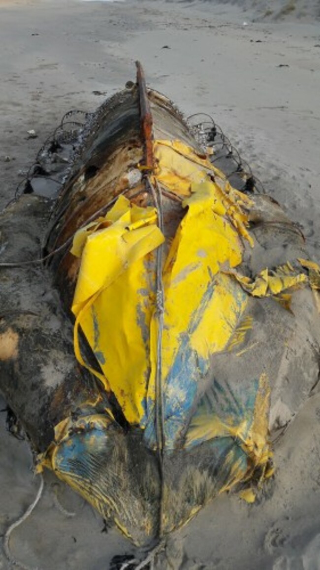 16113248_10155569912448943_3509235358940808468_o