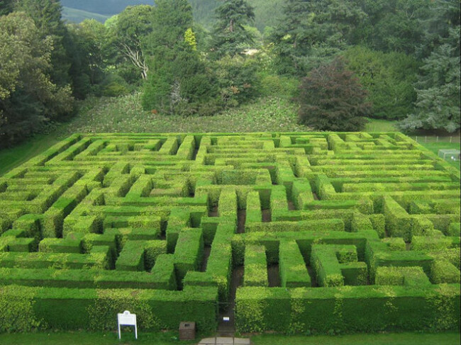 Traquair_House_Maze