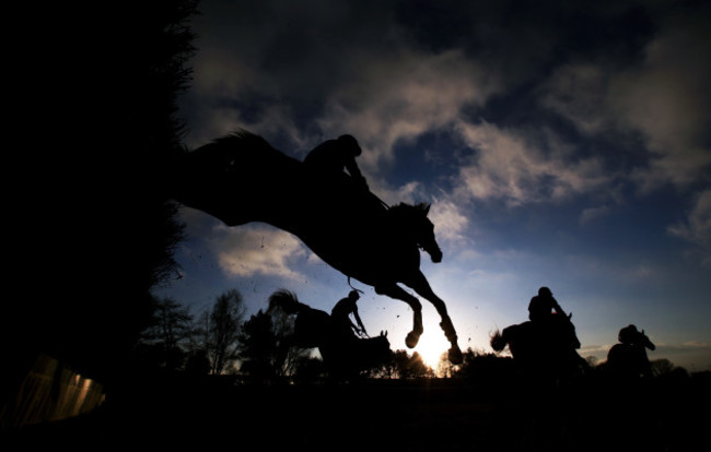 County Raceday - Market Rasen Racecourse