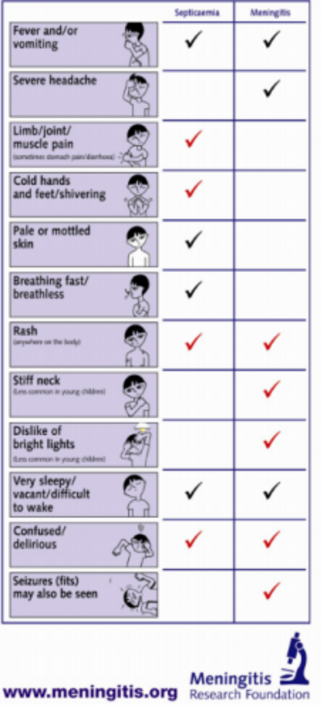 meningitis