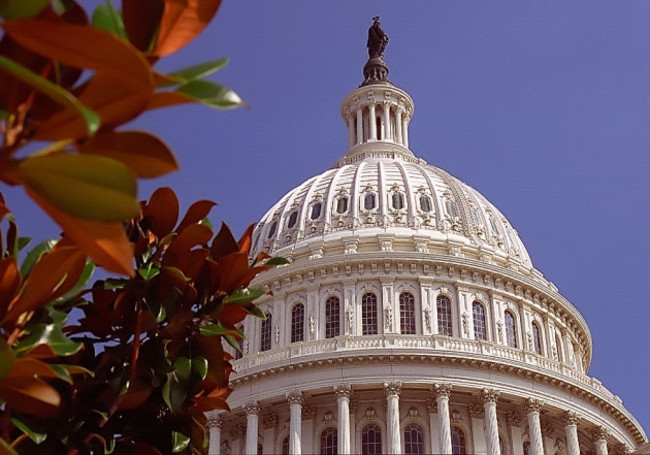 Washington D.C. - Capital Building Dome