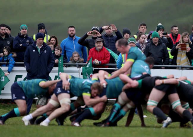 Ireland fans at the open training session