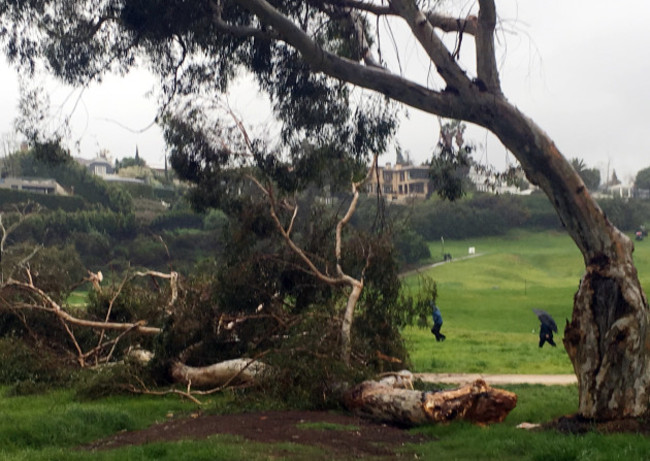 Genesis Open Golf