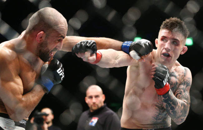 Norman Parke in action Reza Madadi