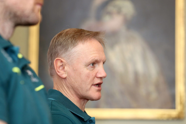 Joe Schmidt