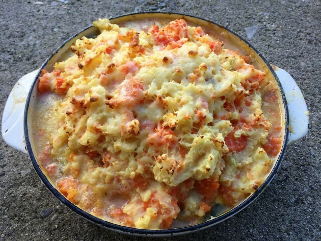 Chicken, Potato and Carrot Pie (3)