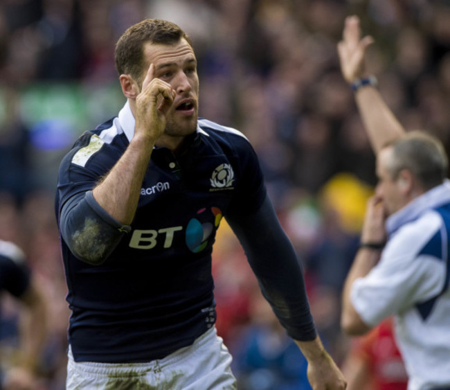 Tim Visser celebrates scoring a try