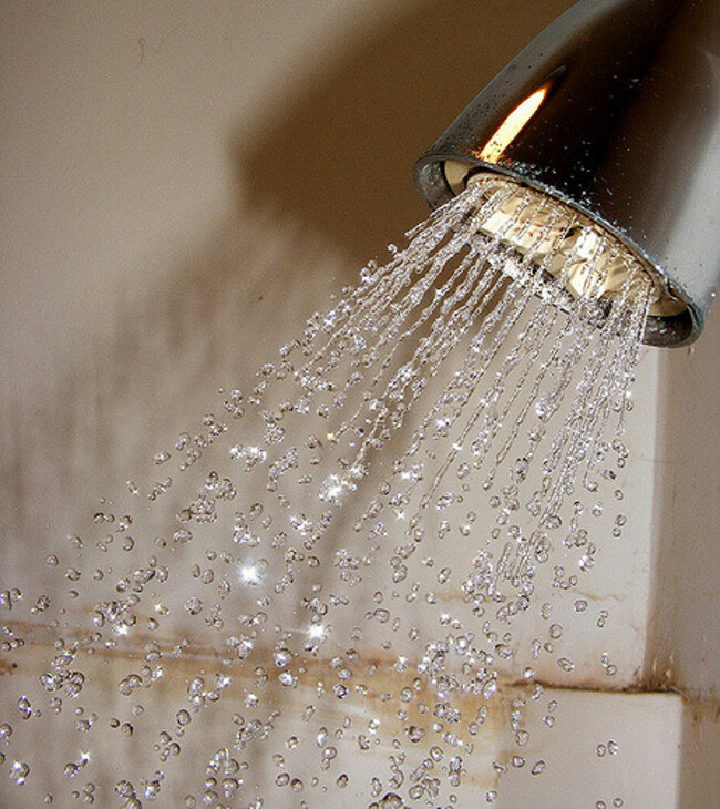 Shower head