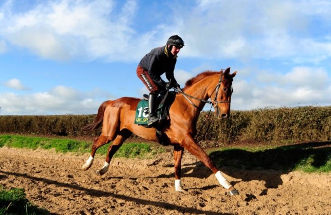 Willie Mullins Stable Visit - Closutton