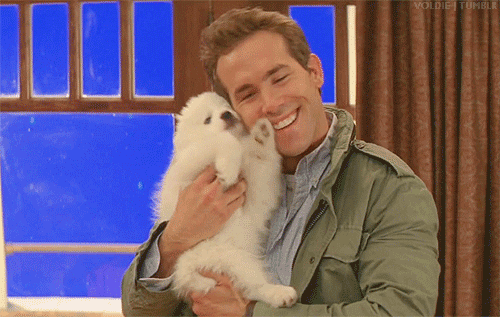 Ryan-3-ryan-reynolds-32684475-500-317