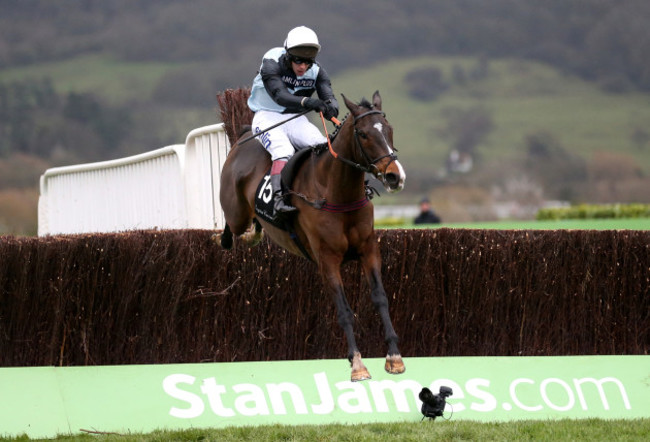 Cheltenham Races - The International - Day Two