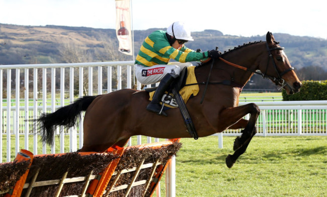 Festival Trials Day - Cheltenham Racecourse