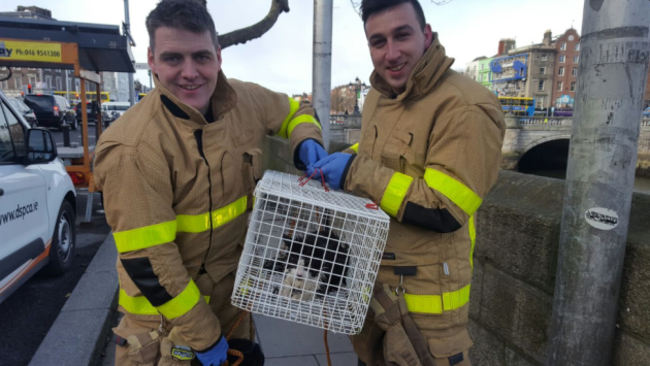 Dublin Fire Brigade