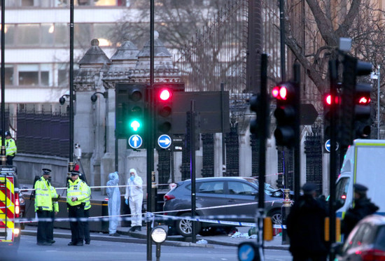 Palace of Westminster incident