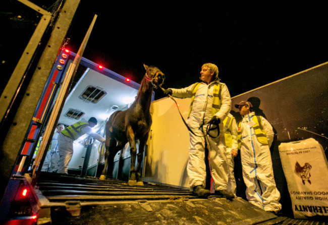 Shannon Airport BBA Ireland Ltd Horses to China