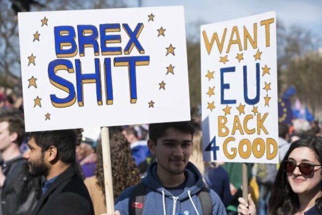 Stop Brexit, National march to Parliament. London, UK. 25/03/2017