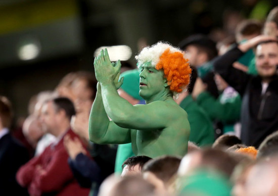 An Ireland fan