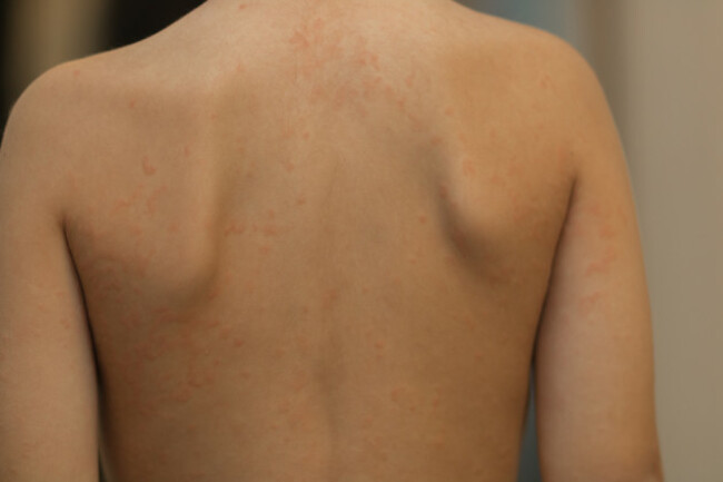 shutterstock_482623126