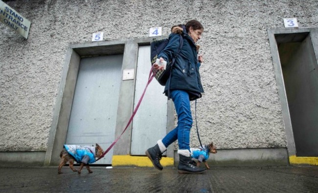 Marley and Sally make their way into the Dublin vs Offaly final in Portlaoise