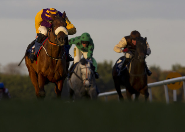 Horses racing at Naas Racecourse