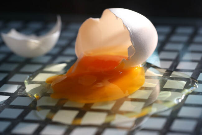 Cracked egg