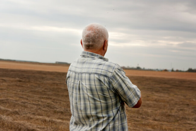 shutterstock_159563159