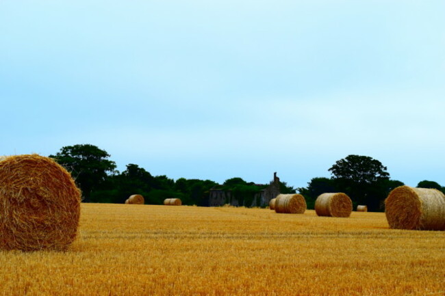 shutterstock_577213813