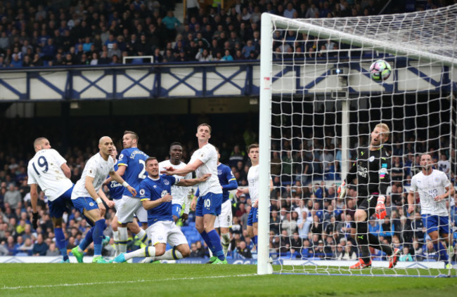 Everton v Leicester City - Premier League - Goodison Park