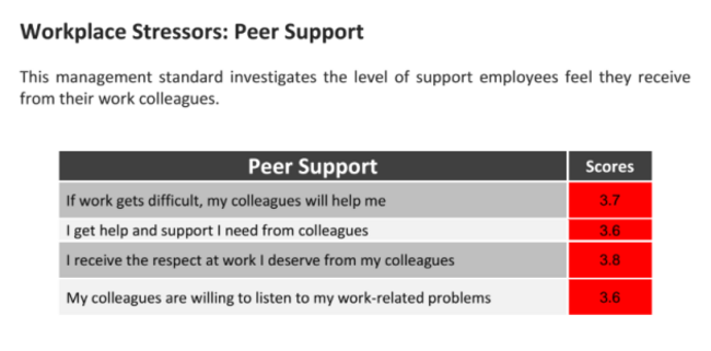 NMI - Peer Support