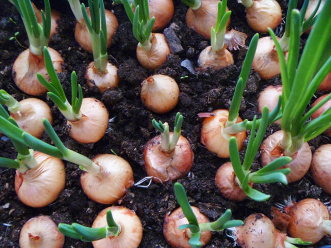 shutterstock_359639939