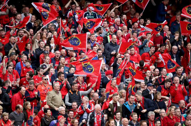 Munster fans during the game