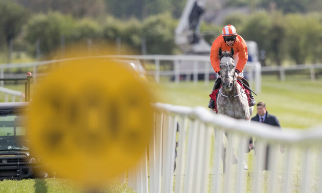 Labaik under jockey Jack Kennedy plays catch up after failing to start