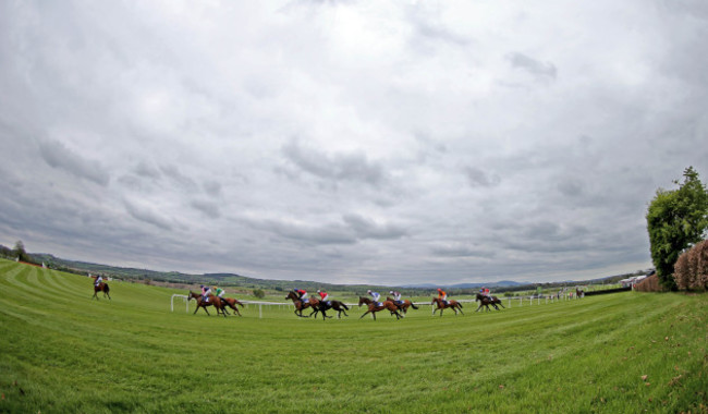 A view of the field during the race