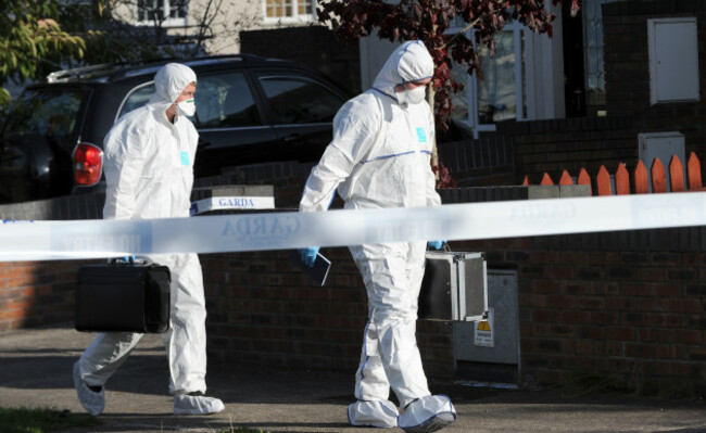 Anna Finnegan Ongar Stabbings