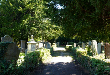 bnwz5p2sp56cupxko96qdrkcha9z0p5