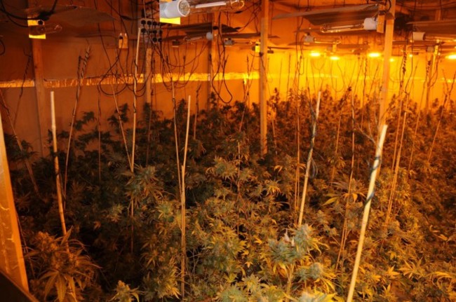 18402313_10154945665393001_5789614016664727806_o