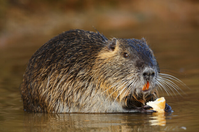 shutterstock_376157008
