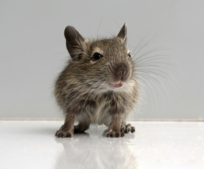 shutterstock_376757707