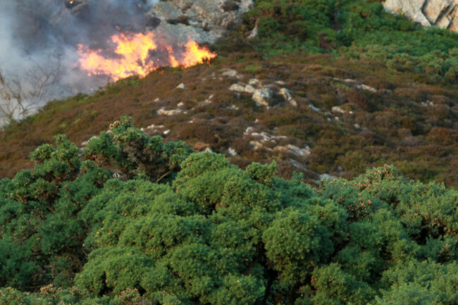 Howth Gorse Fires