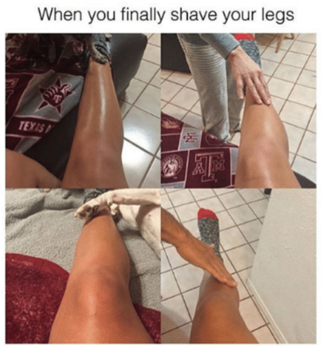 shave legs