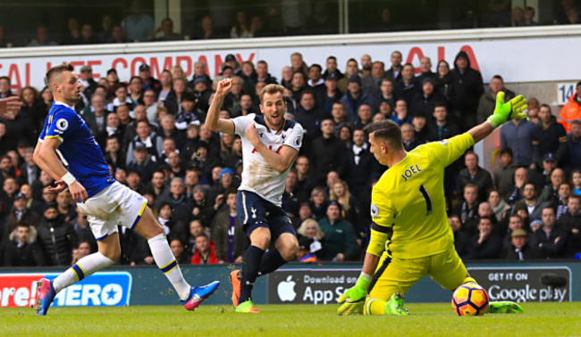 Tottenham Hotspur v Everton - Premier League - White Hart Lane