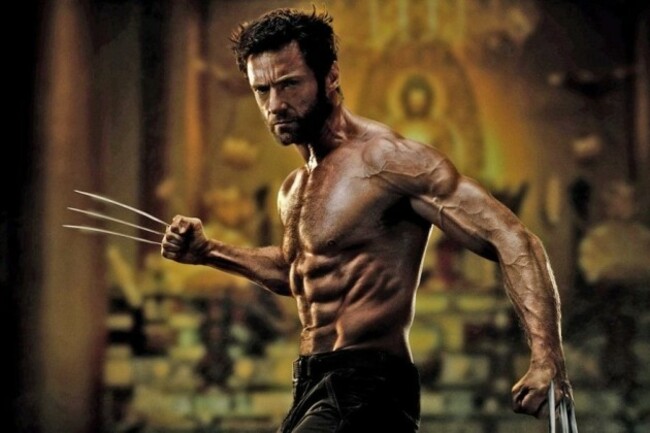 wolverine