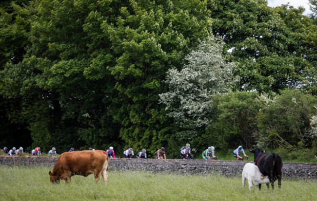 The An Post Ras makes it way towards Lanesborough