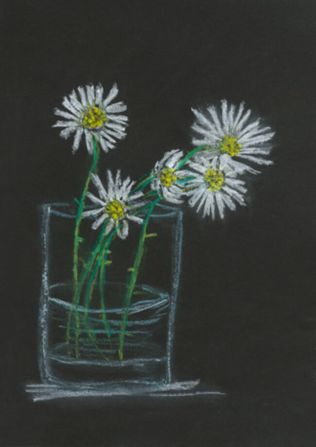 F1 - Eibhlin Murphy - Cork