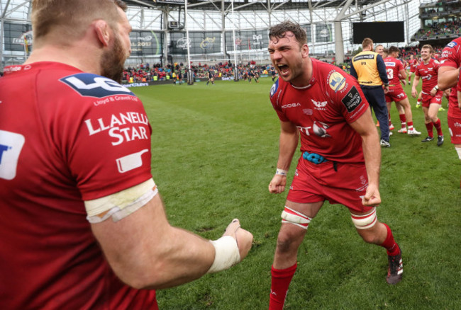 John Barclay and Tadgh Beirne celebrate